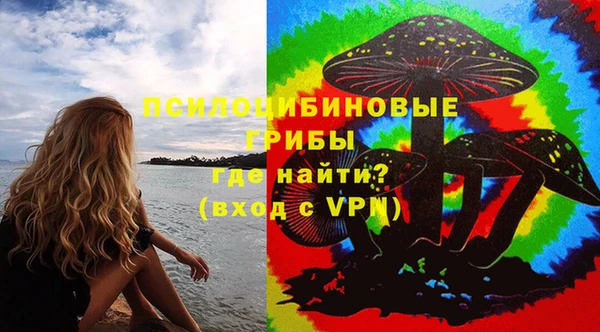 шишки Арсеньев
