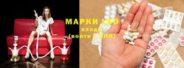 шишки Арсеньев