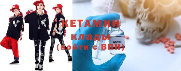 шишки Арсеньев