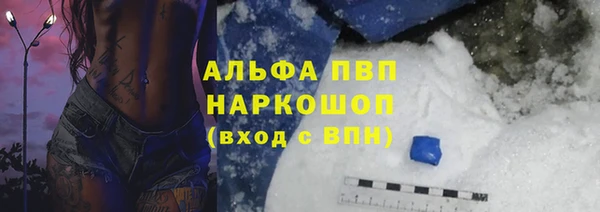 шишки Арсеньев