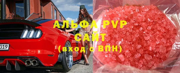 шишки Арсеньев