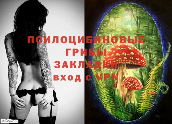 меф Армянск