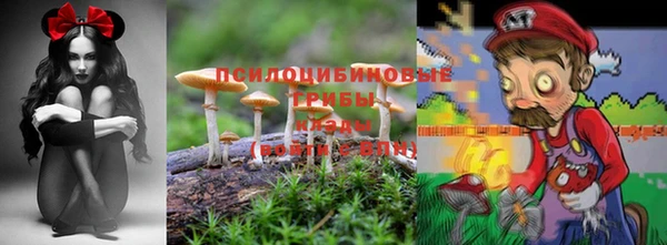 метамфетамин Аркадак