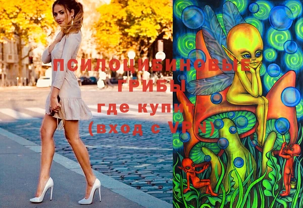 шишки Арсеньев