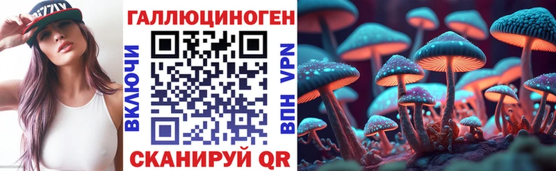 Галлюциногенные грибы Cubensis  магазин продажи   Борзя 